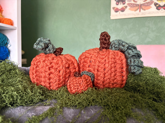 Large Pumpkin