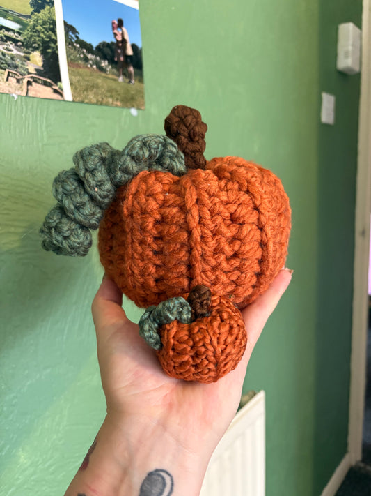 Medium Pumpkin